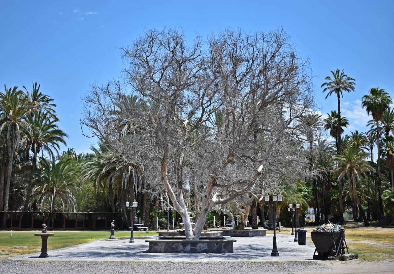 La Huerta Hotel San Ignacio  Eksteriør bilde